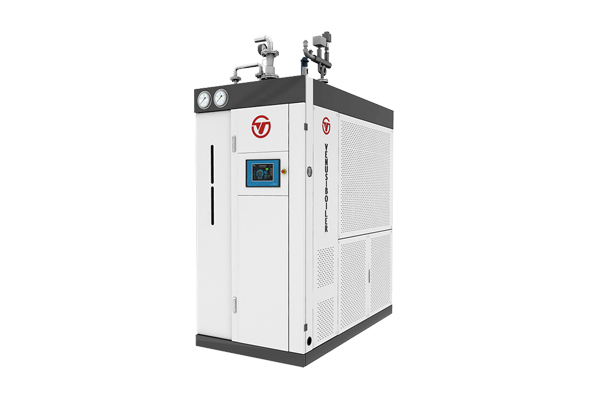 燃气蒸汽发生器在果干行业应用