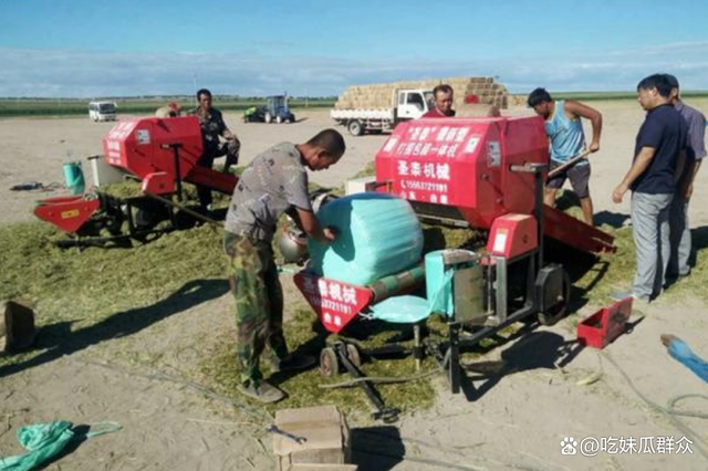 燃气蒸汽发生器助力解决畜牧养殖饲料问题。